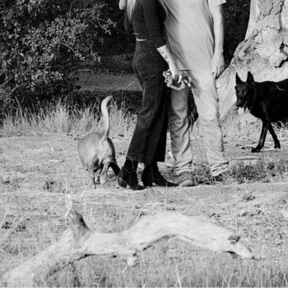 AG Adriano Goldschmied The Etta Cropped Pants - Picture 8 of 9